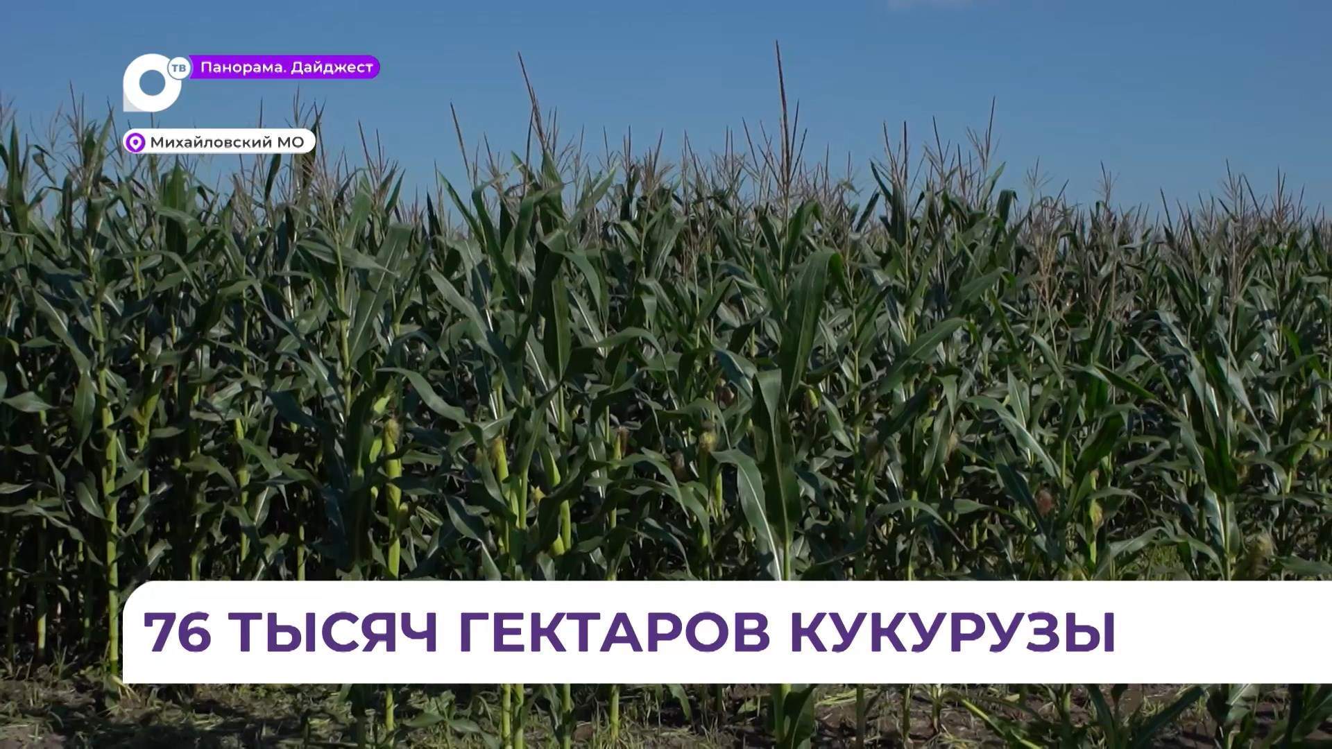 Крупнейшее предприятие агрокомплекса в Михайловском округе посетил Олег Кожемяко