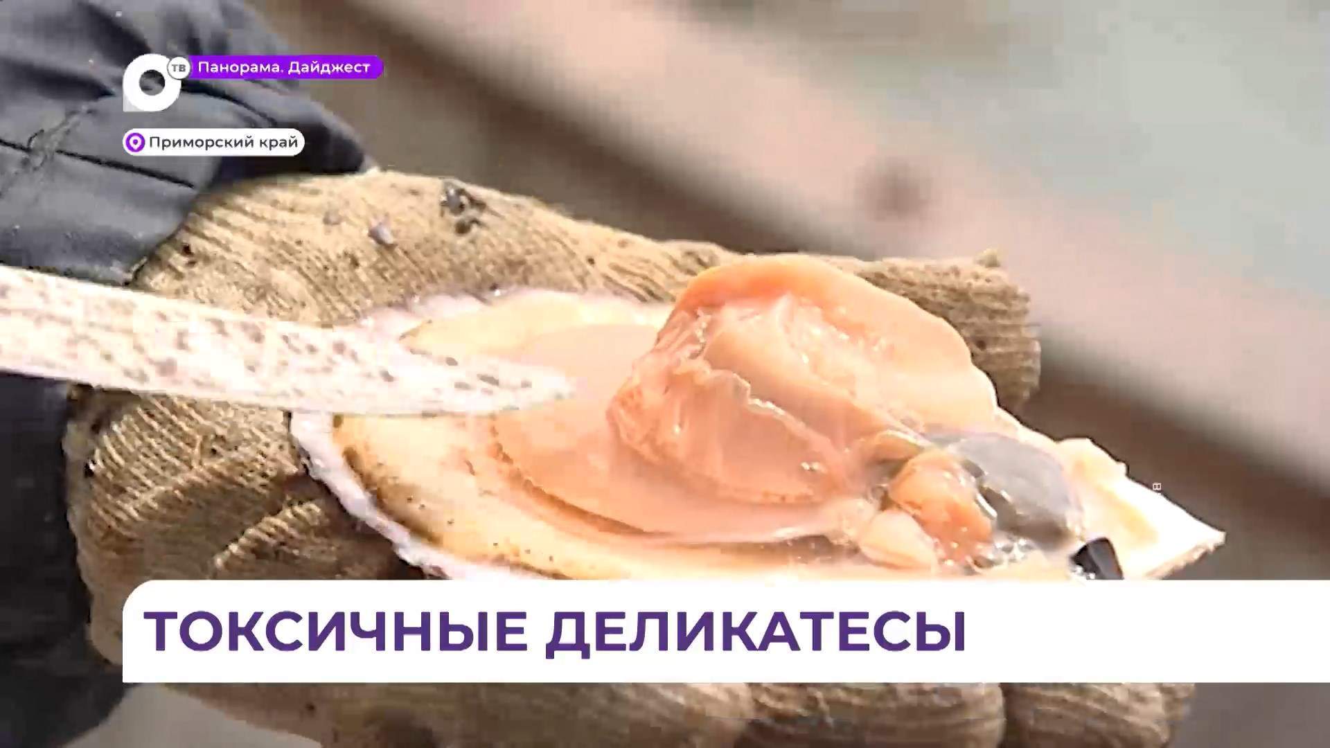 Морепродукты из Амурского залива могут вызвать тяжёлое отравление