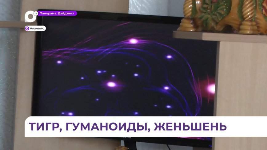 Умелец-самоучка из Анучино творит из дерева чудеса