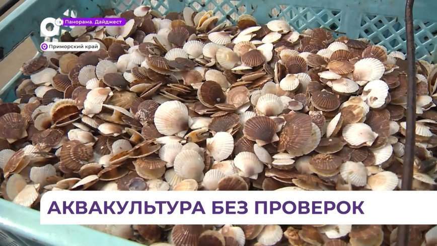 Экологическая экспертиза предприятий аквакультуры в Приморье упростится