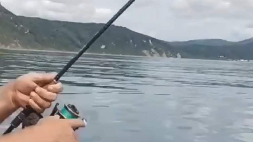 В Приморье опасный хищник попался на удочку рыбаку и устроил настоящее шоу
