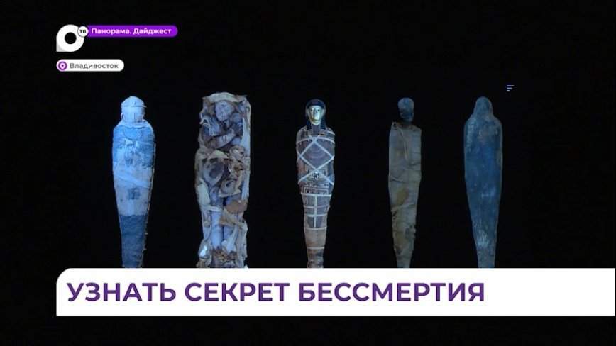 Во Владивостоке небывалый ажиотаж вызвала выставка о Древнем Египте