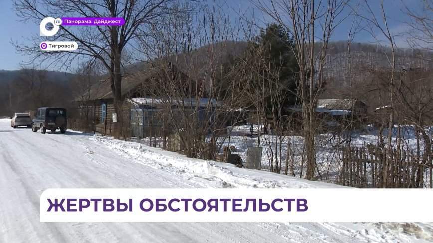 История с краснокнижным котом из Партизанского округа получила продолжение
