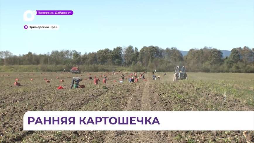 В Приморье высажено уже два с половиной гектара раннего картофеля