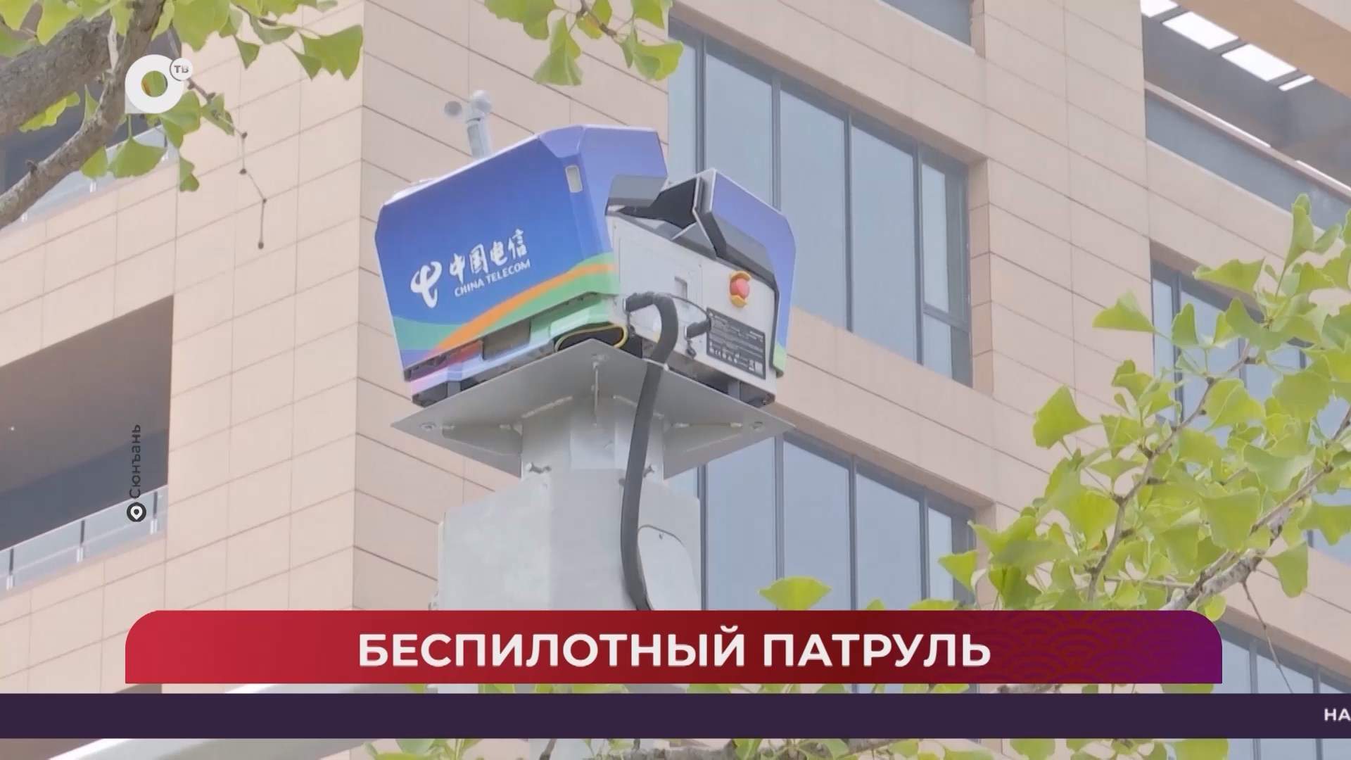 Китайская шкатулка / Вы пробовали кофе с чесноком?!  / 19.07.25