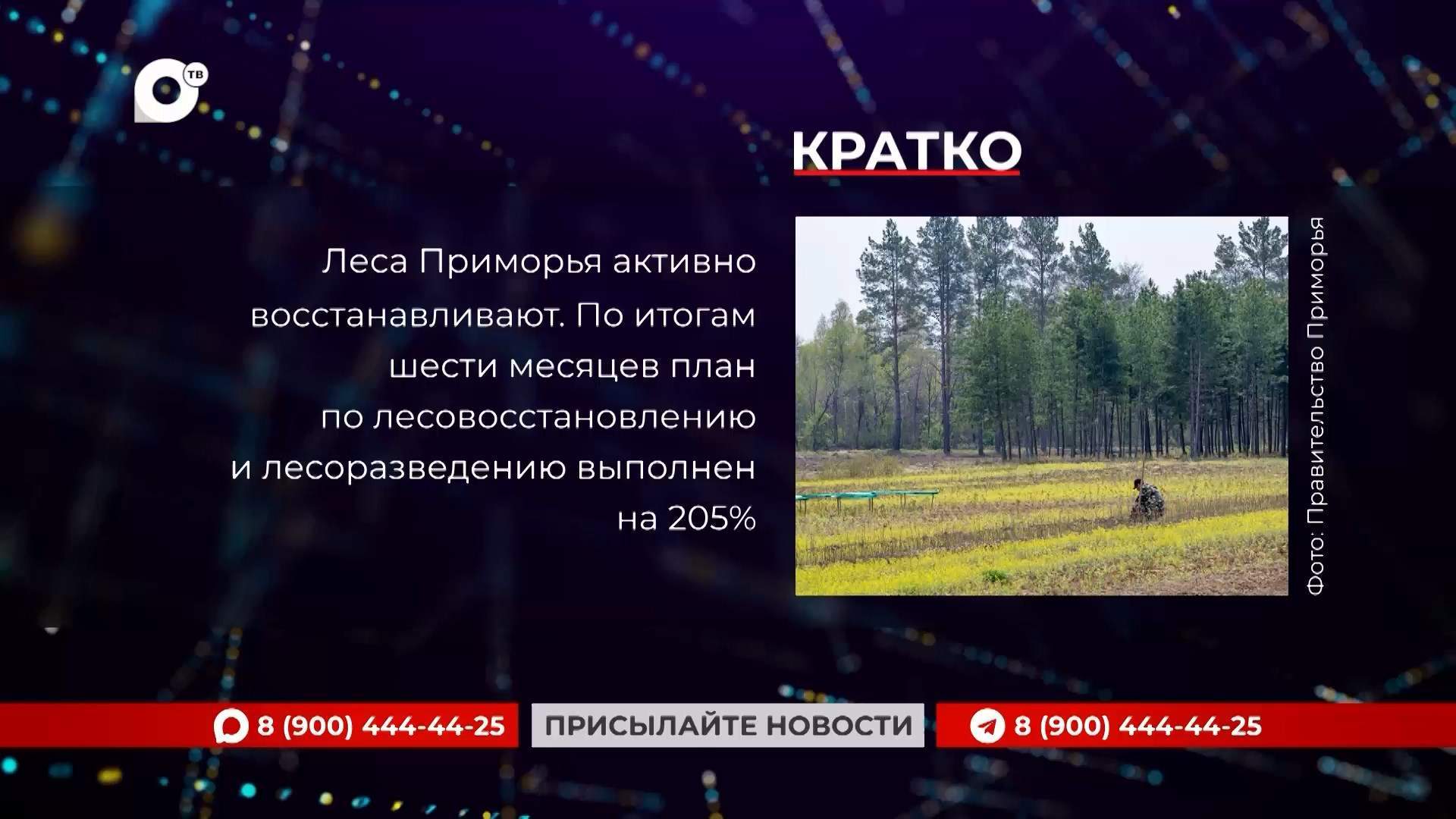 Кратко / 21.07.26 