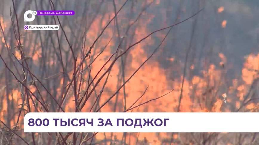 До 800 тысяч рублей заплатят нарушители особого противопожарного режима в Приморье