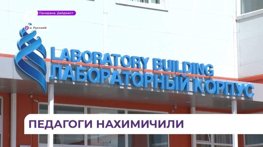 Педагоги Приморья проверили знания на первом Турнире для педагогических команд