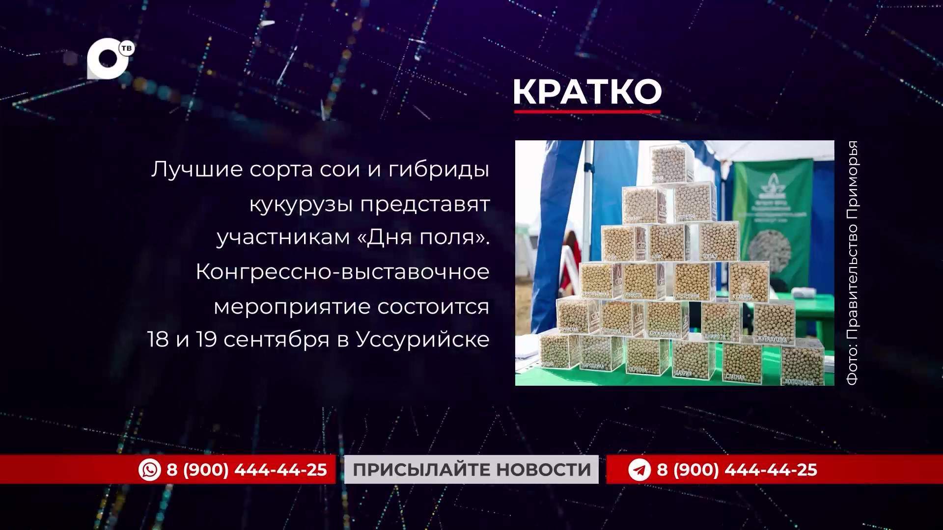 Кратко / 02.06.25 / Утро