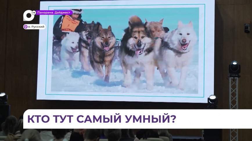 Во Владивостоке открылась олимпиада для школьников «Ближе к Дальнему»