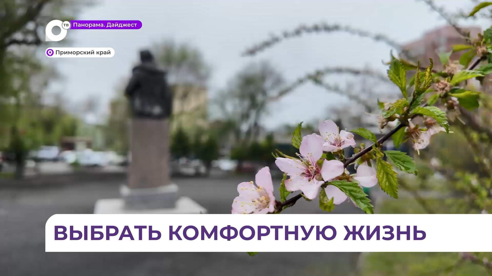 Названы предварительные лидеры голосования за комфортную городскую среду