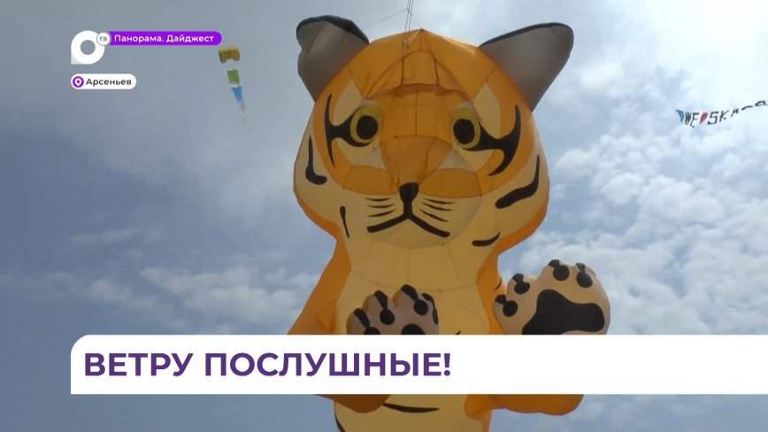 Инициатор фестиваля «Небо на ладони» — музей авиации в Арсеньеве снова принимает гостей