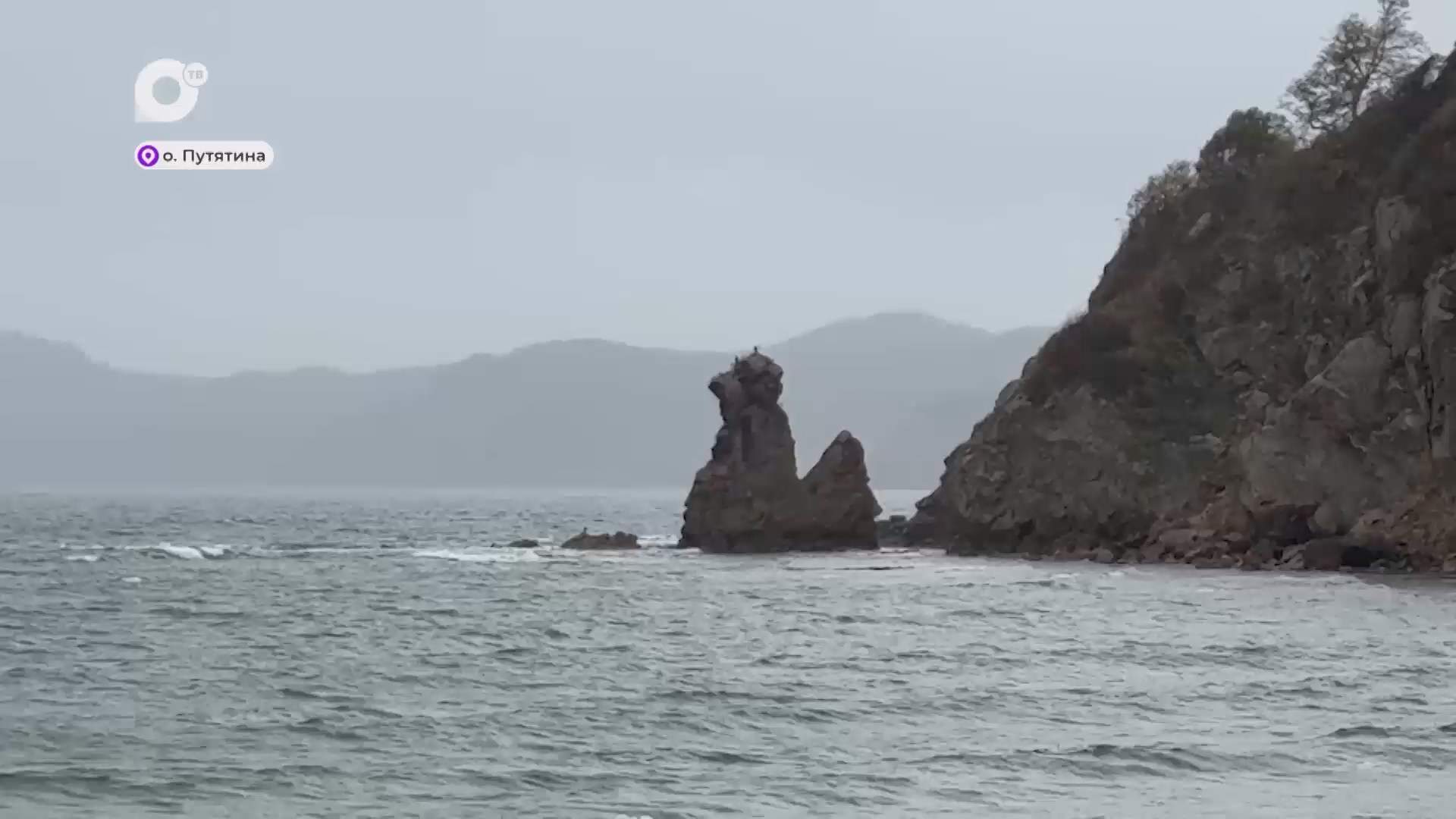 Творческий автобус / 31.10.25 Творческий автобус / 31.10.25