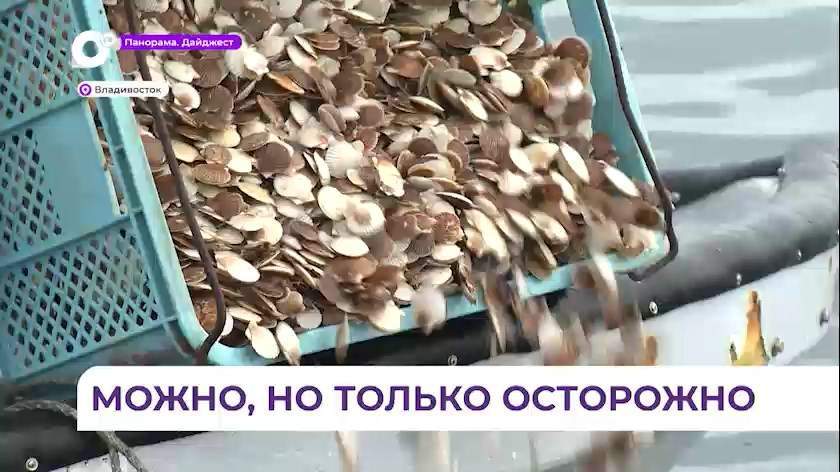 Морские деликатесы из Амурского залива могут содержать опасные токсины
