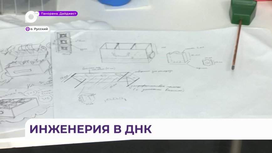 Приморские школьники провели каникулы в Доме научной коллаборации