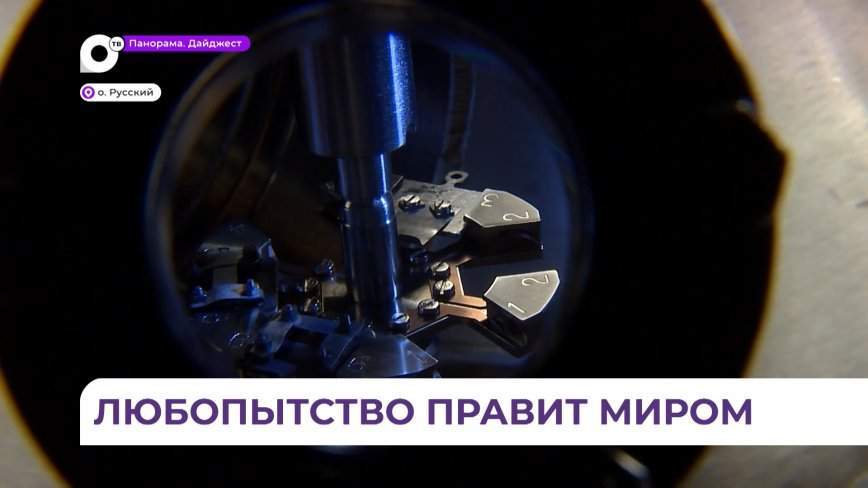 Ученых ДВФУ поздравили с профессиональным праздником