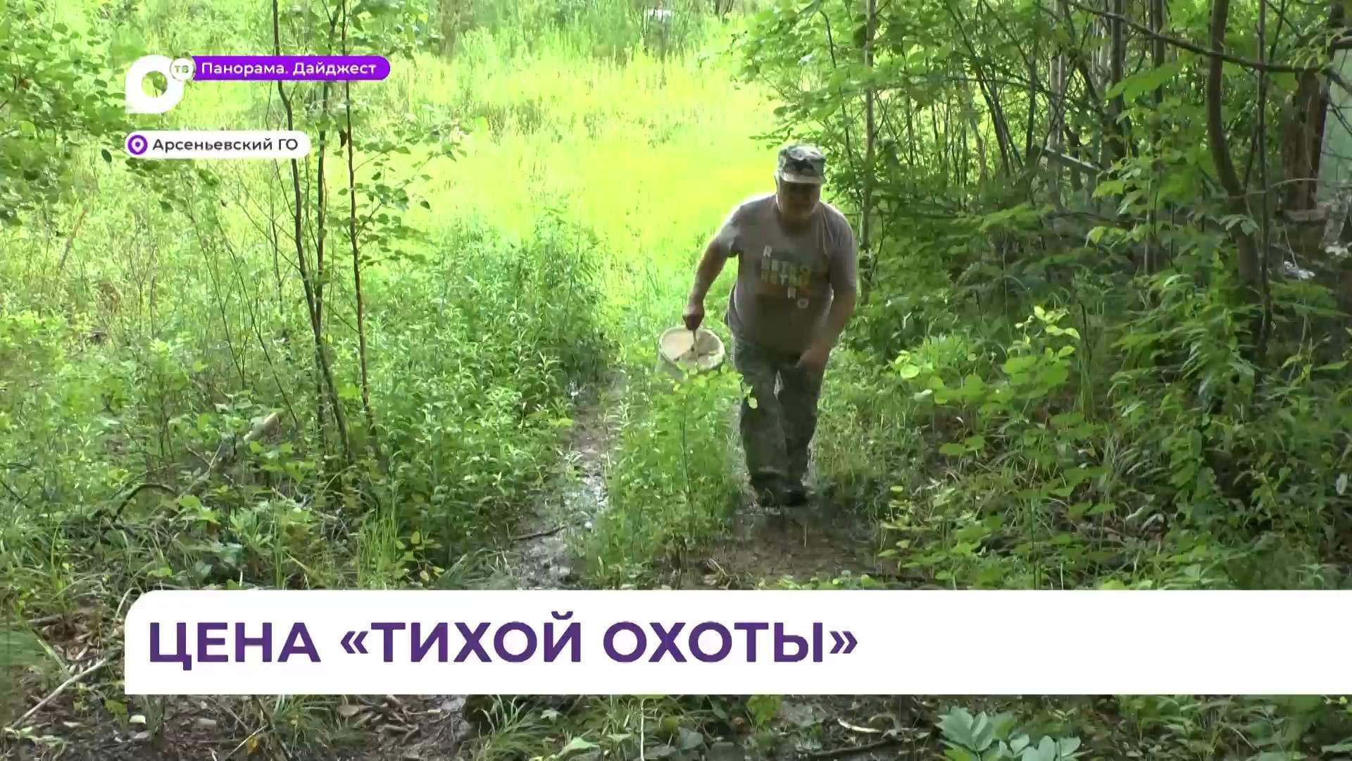 В Арсеньеве пока шли поиски пропавшего грибника, он самостоятельно вышел к своей даче