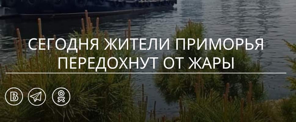 «Главное, ударение правильно поставить»: жители Приморья передохнут от жары