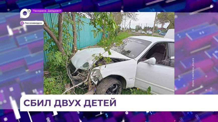 В Приморье возбуждено дело по факту тяжёлого ДТП с детьми