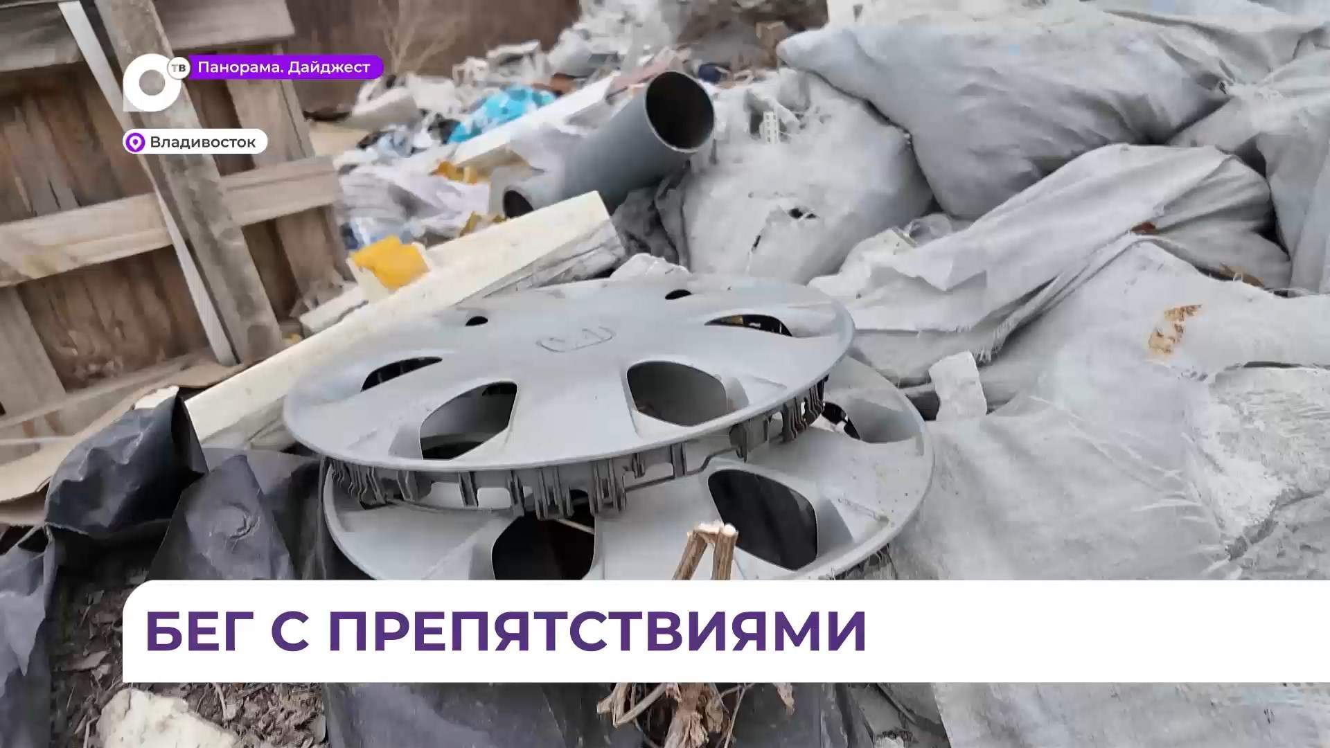 Во Владивостоке в лесном массиве обнаружена несанкционированная свалка