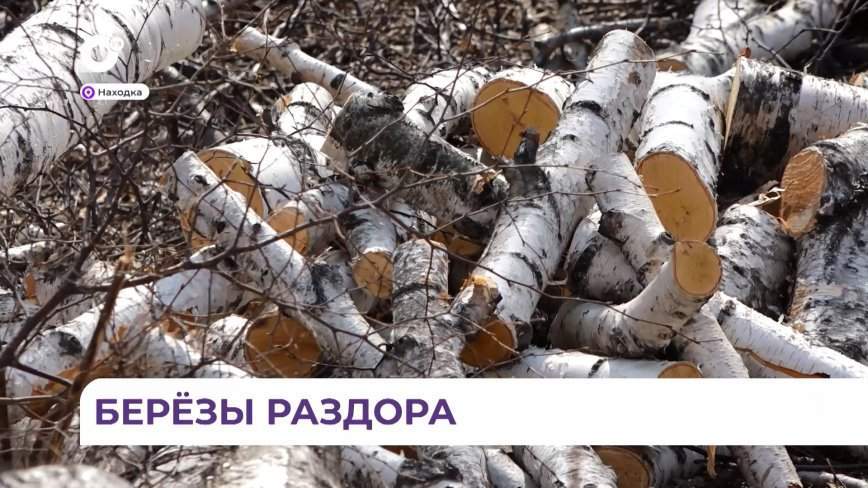 Глава Находки обсудил с активистами конфликтную ситуацию с березовой рощей