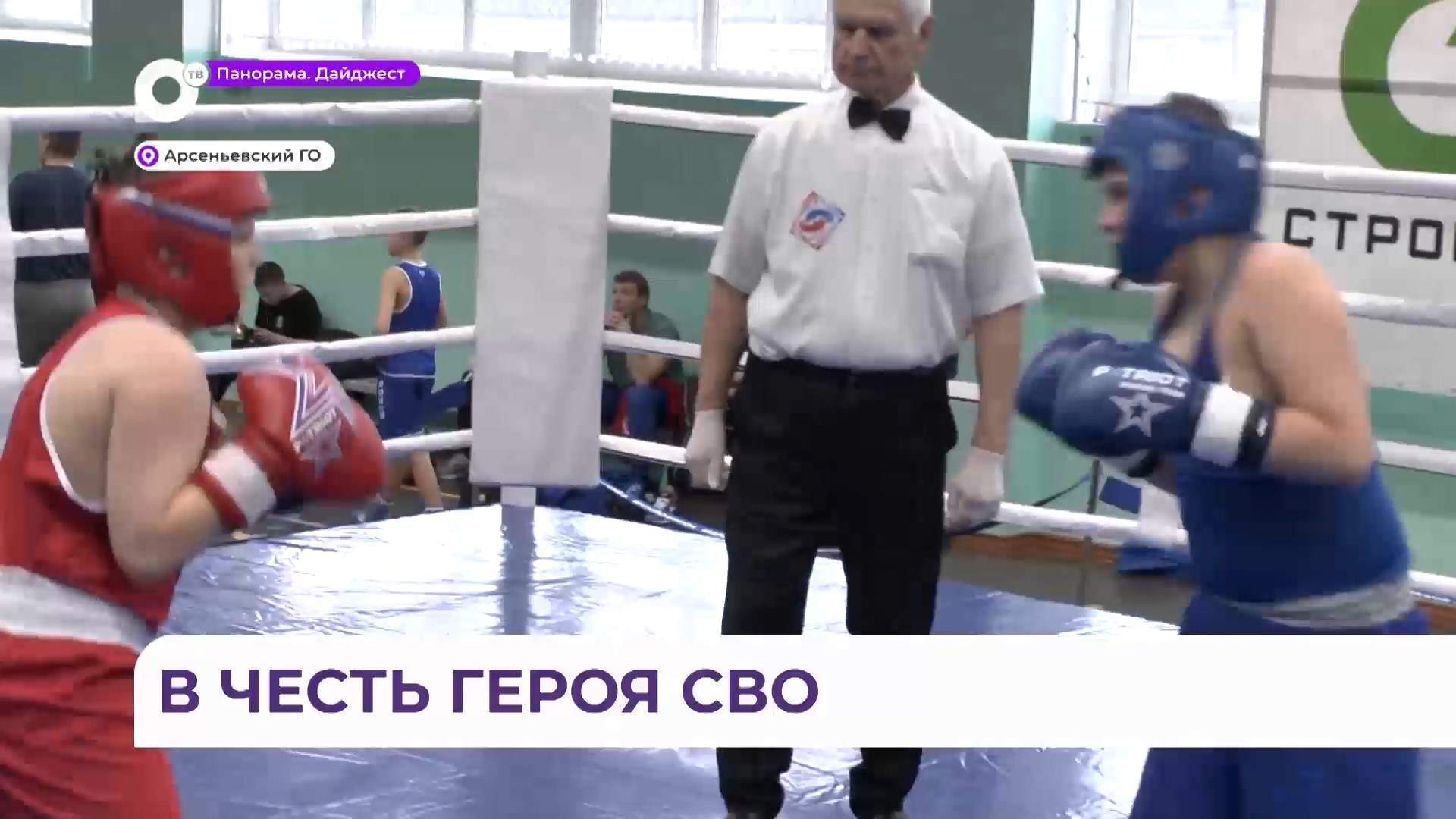 Турнир по боксу памяти Дениса Першина прошёл в Арсеньеве