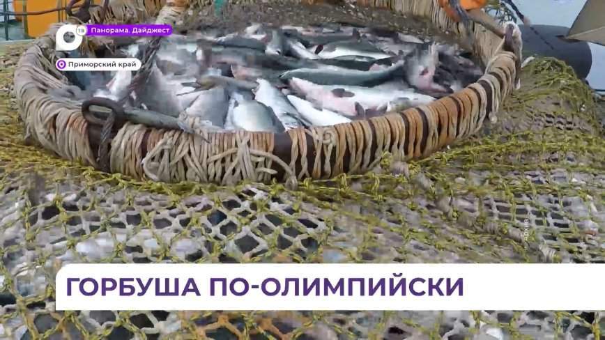Промышленные предприятия начали добывать горбушу и симу на севере Приморья