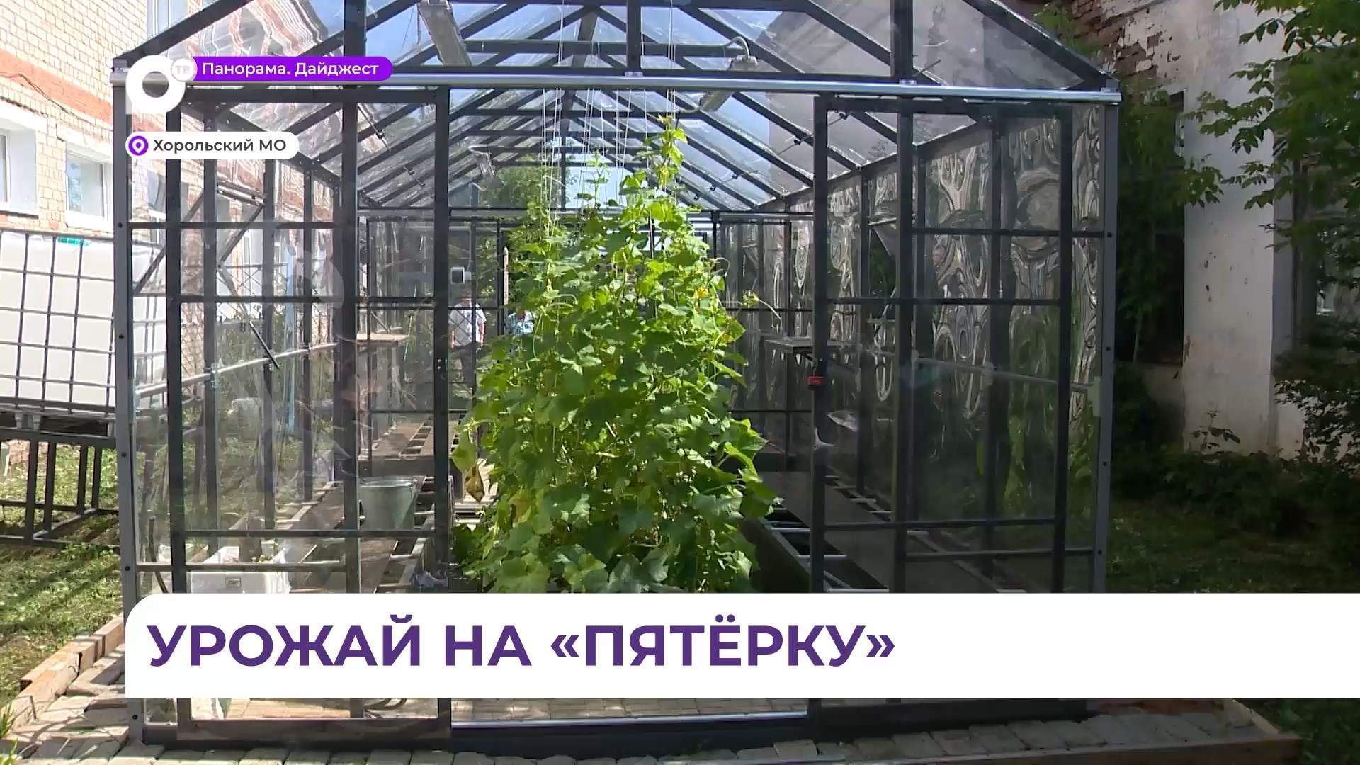 Урожай на «пятёрку»: ученики школы села Новодевица увлечены агрономией
