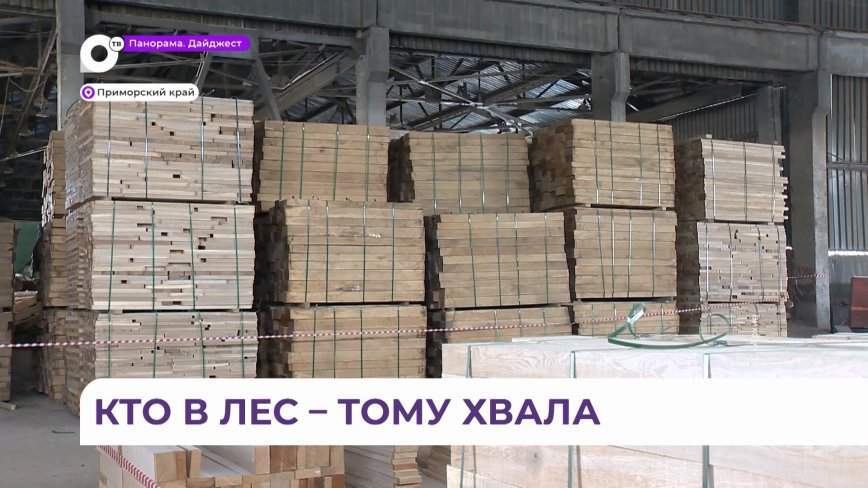 Достижения приморских лесопромышленников отметили в краевом правительстве
