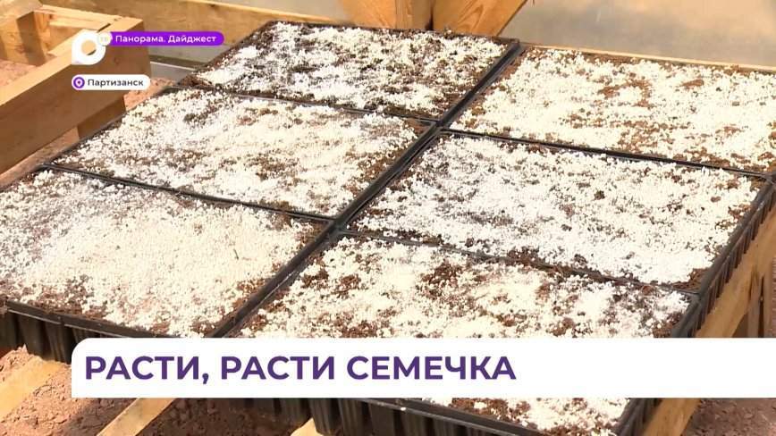 Первая посевная теплица появилась в Приморье