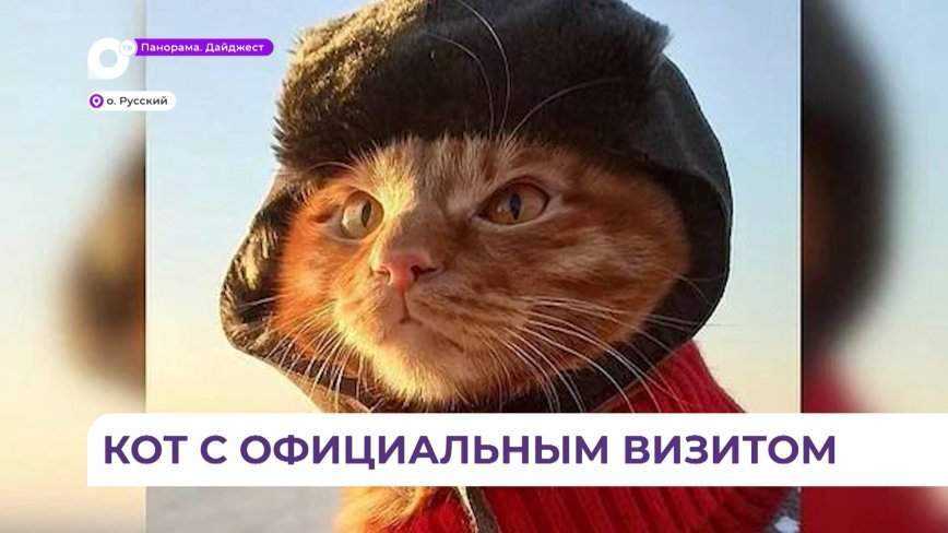 Звезде интернета устроили экскурсию по ДВФУ