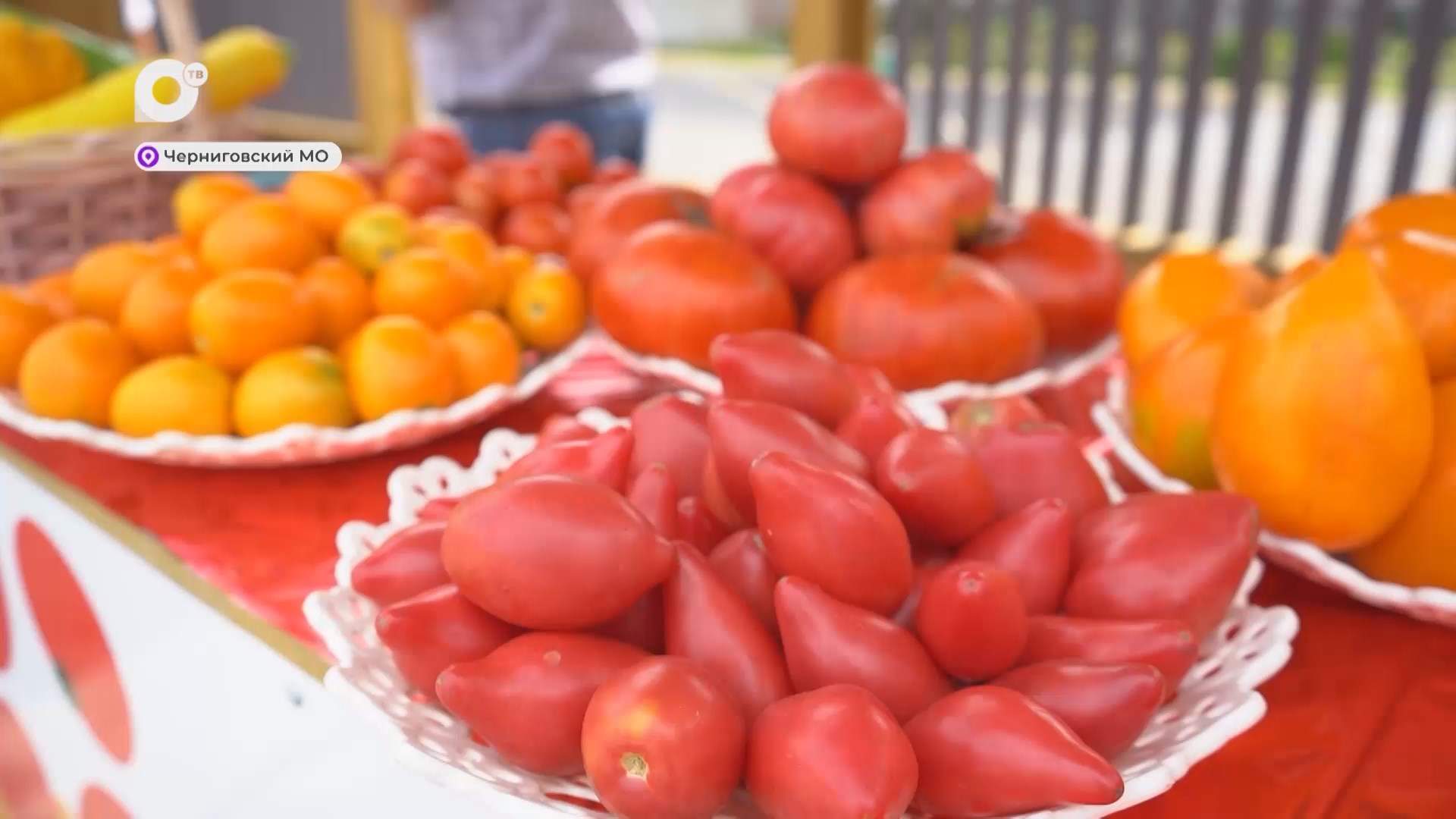 Земля Приморская / Фестивальное Приморье / 30.08.25