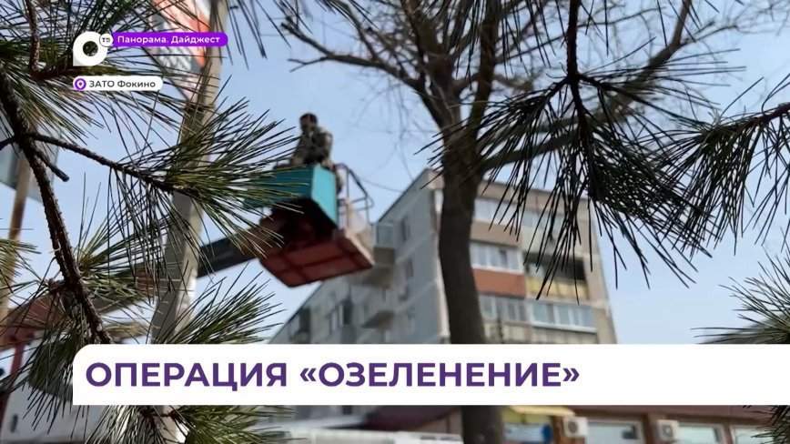 К весенней «стрижке» приступили озеленители Фокино