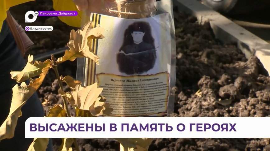 «Лес Победы»: 75 молодых деревьев высадили на улице Русской