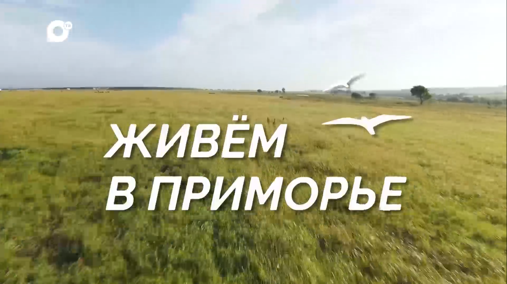 Живём в Приморье. 7 серия