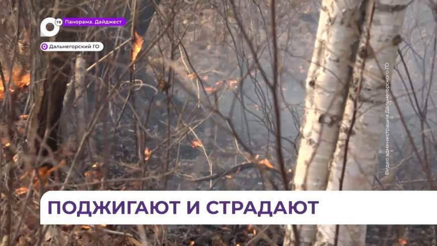 Более трёх тысяч гектаров охватил пожар в районе Лидовки