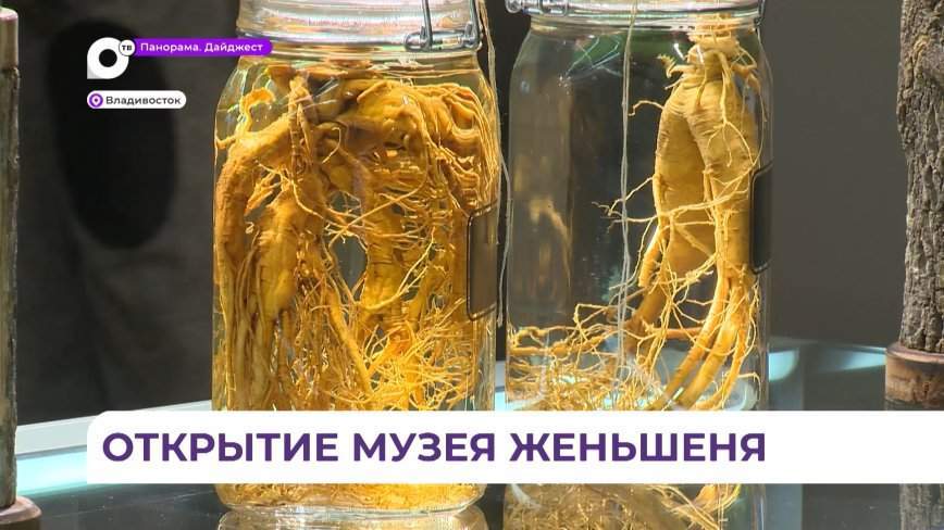 Во Владивостоке открылся музей женьшеня