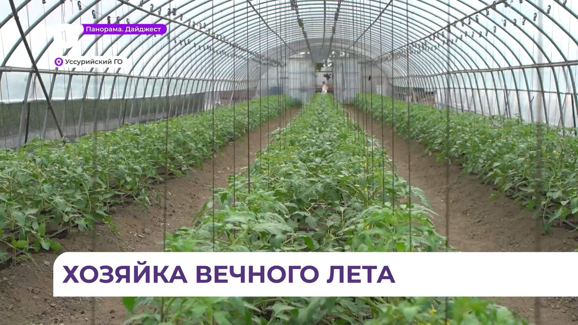 Накормить приморцев местным продуктом стало делом жизни фермера из Приморья