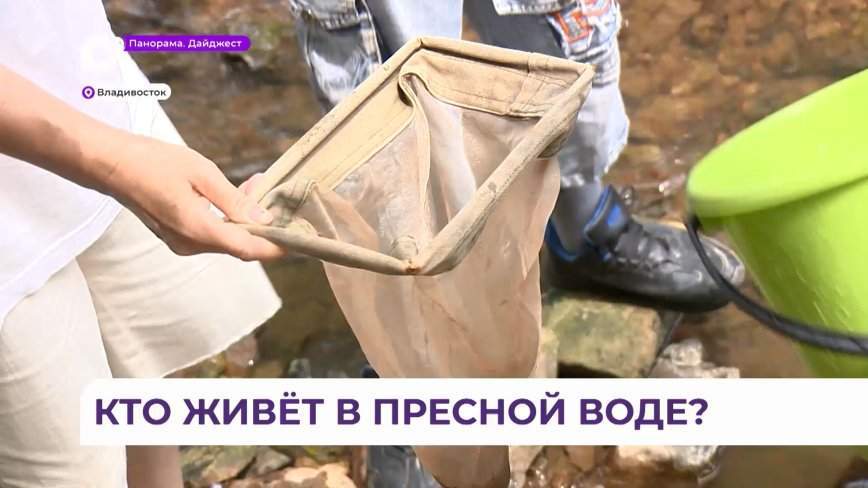 «Единый день мониторинга малых рек» прошел недалеко от бухты «Три поросёнка»