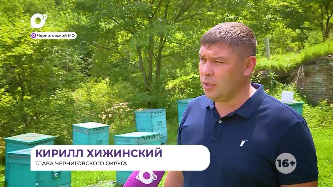 Прямая речь / О Пчеловодстве / 13.08.24