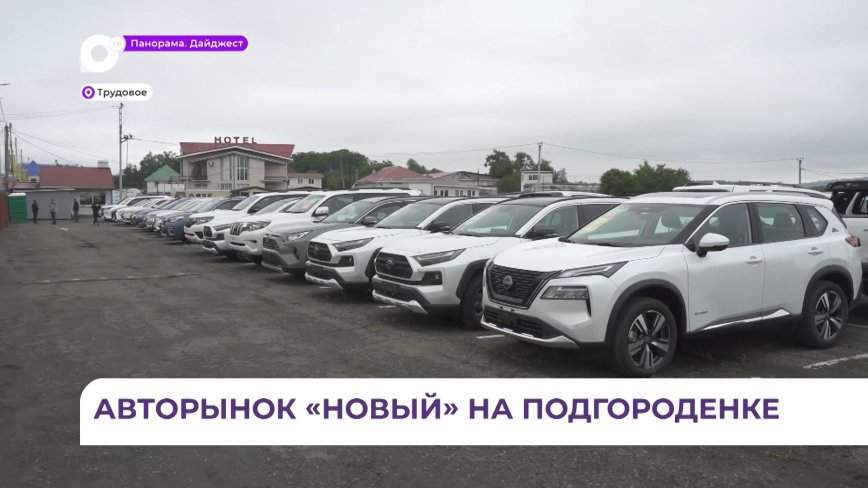 Авторынок «Новый» открылся в посёлке Трудовое