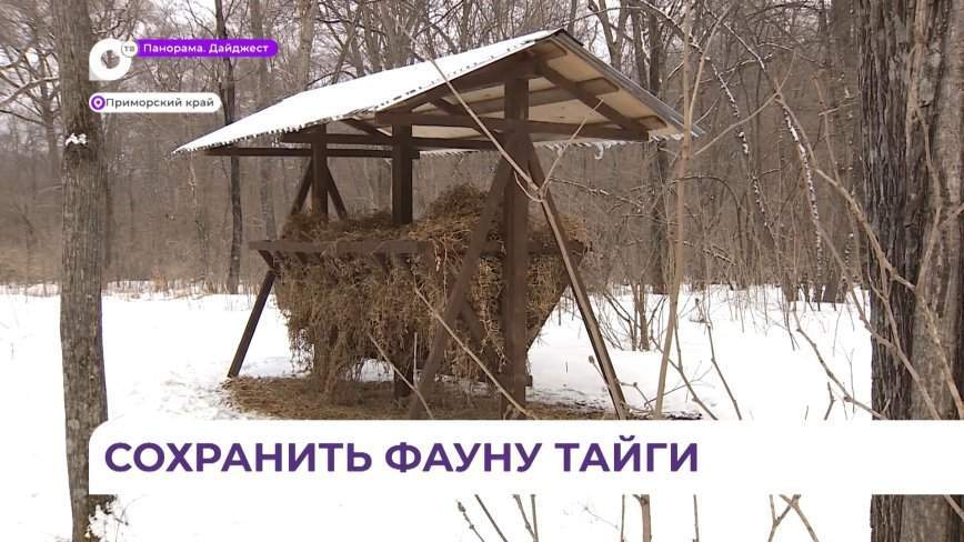 Критическая ситуация в охотхозяйствах Приморья требует оперативного разрешения