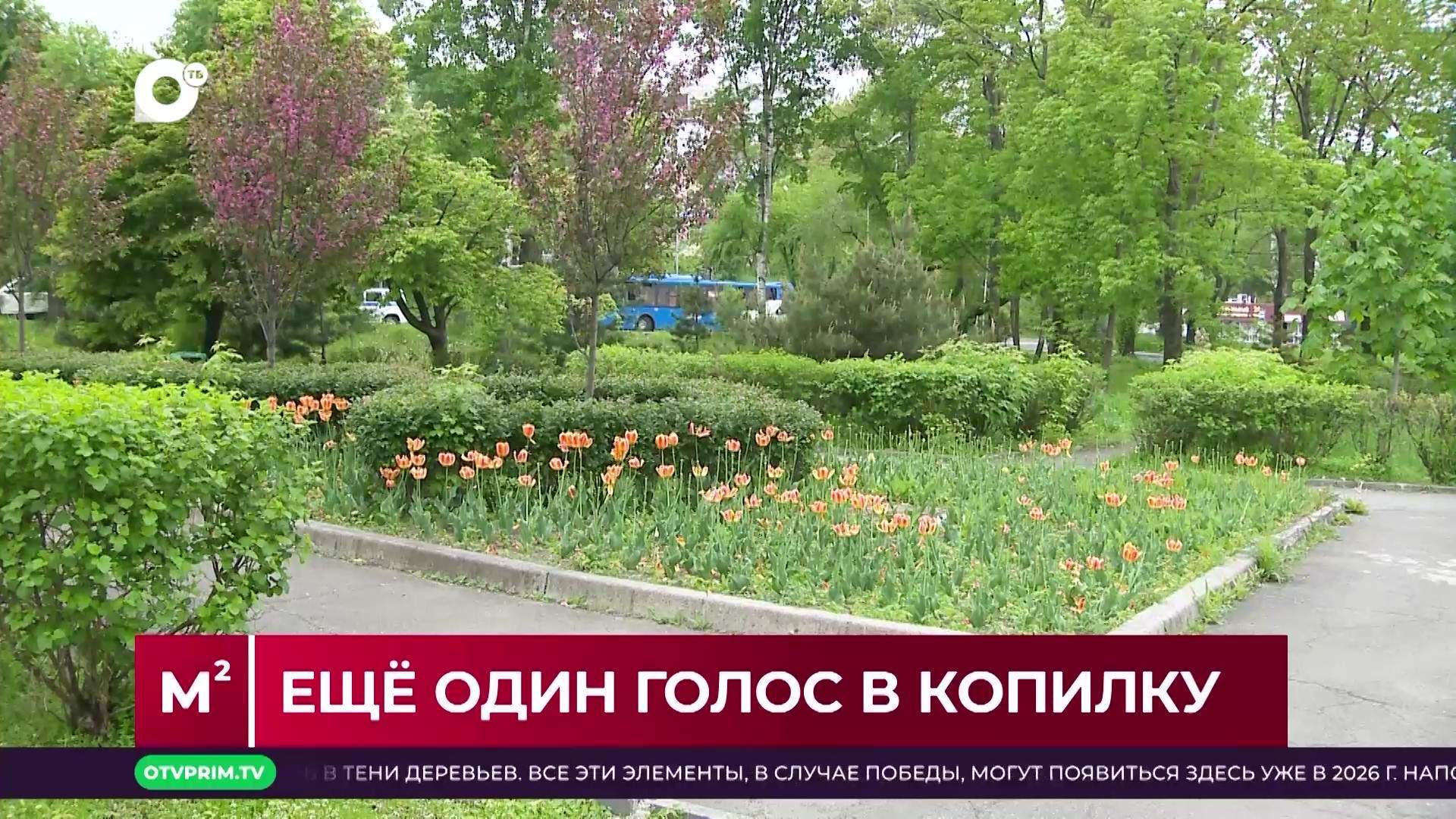 Квадратные метры / Безопасность в руках жителей / 03.06.25