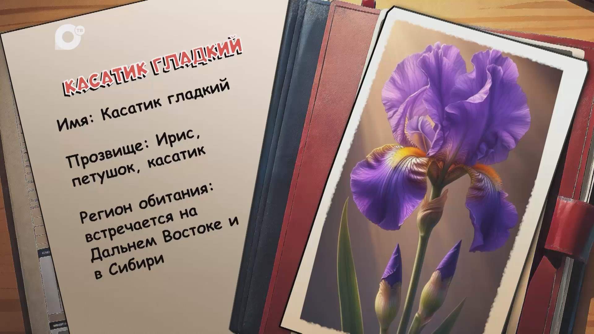 Агент биосферы / Касатик гладкий / 23.03.26