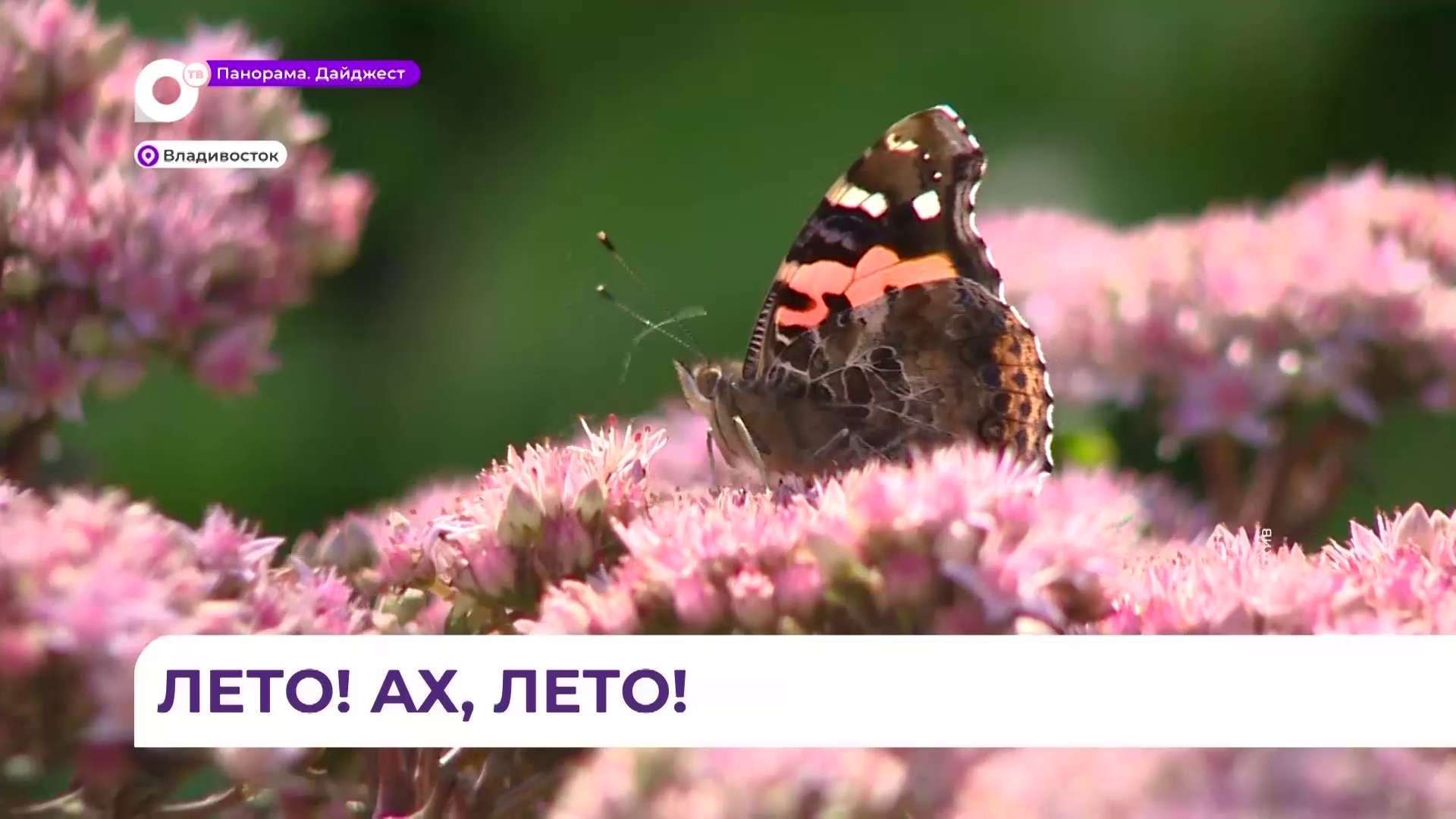 Приморье отказывается прощаться с летом — вторая половина сентября, а купальный сезон продолжается