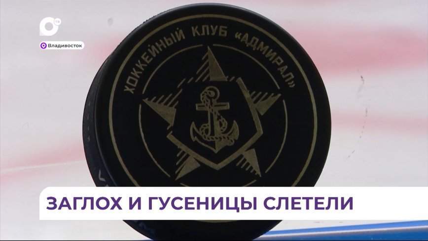 Приморский «Адмирал» продолжает выигрышную серию матчей