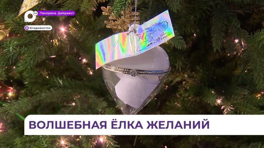 Олег Кожемяко дал старт социальной акции «Елка желаний»