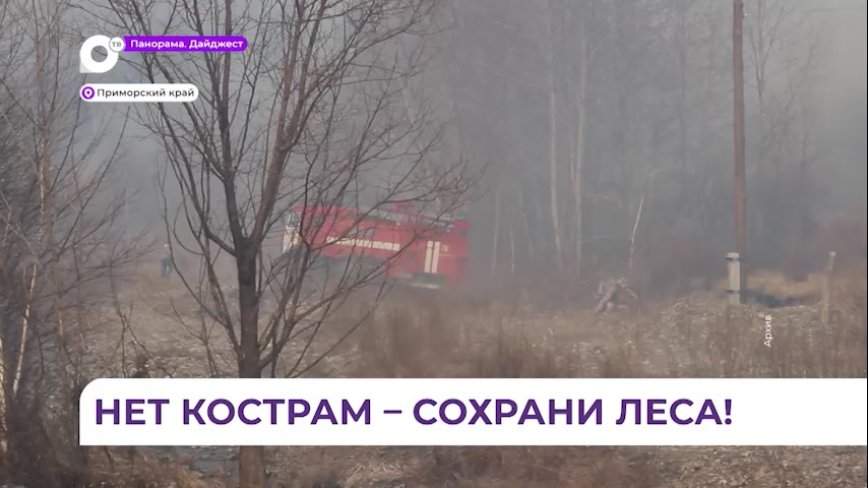 Два природных пожара тушат на юге Приморья