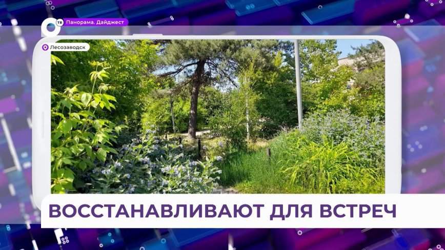 Сквер «Встреча» в Лесозаводске начитает обретать свой будущий облик благодаря ТОС