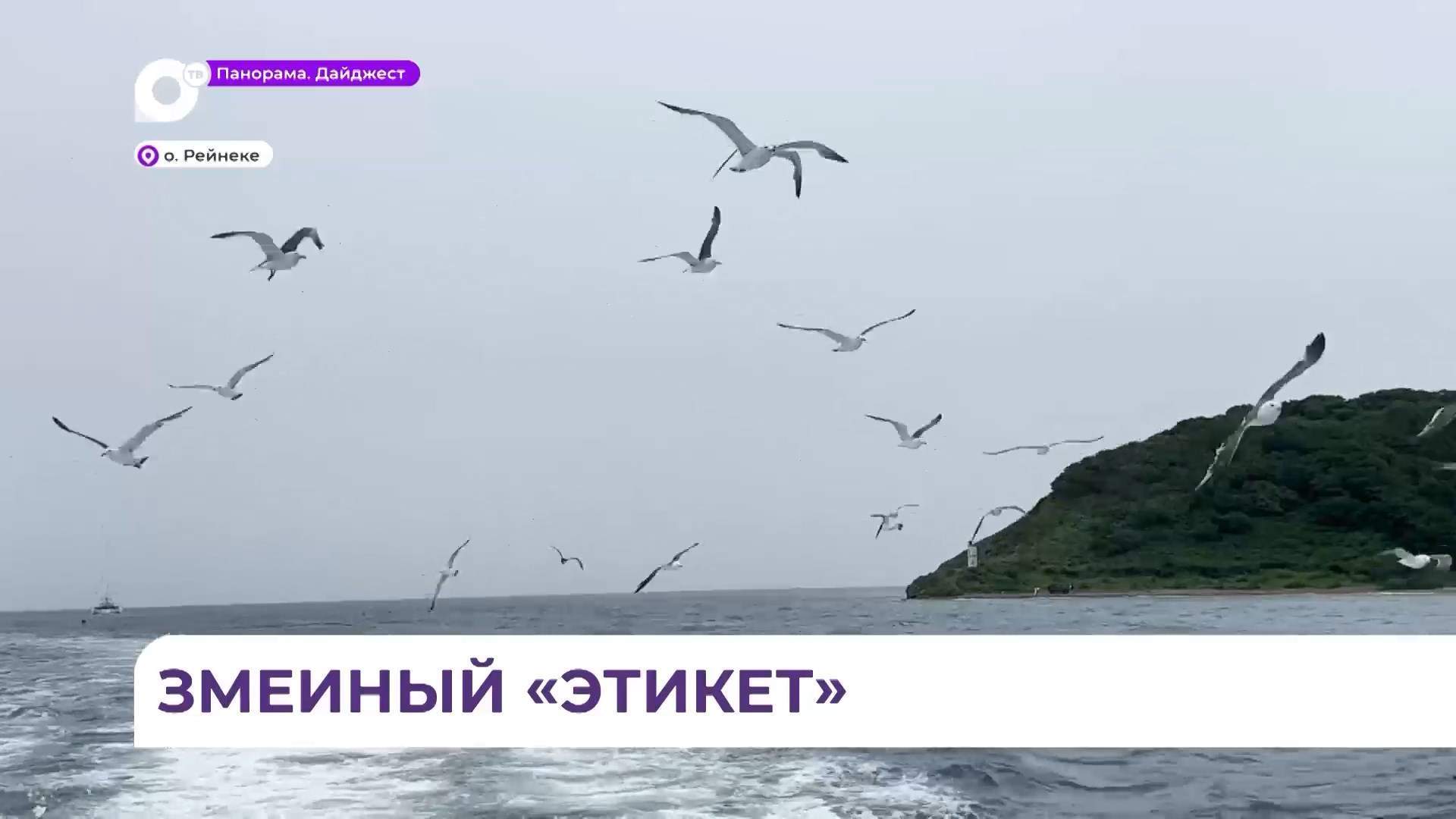 На острове Рейнеке медики провели мастер-класс по оказанию помощи при различных ситуациях